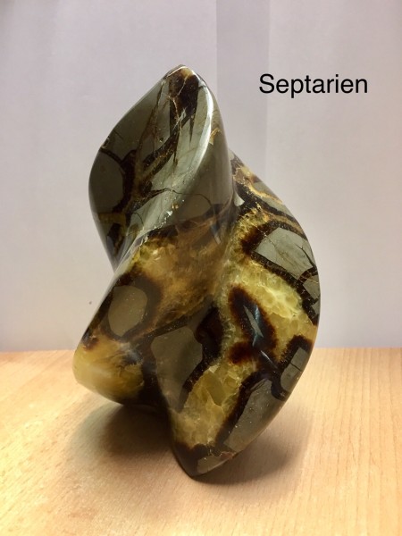 Septarien